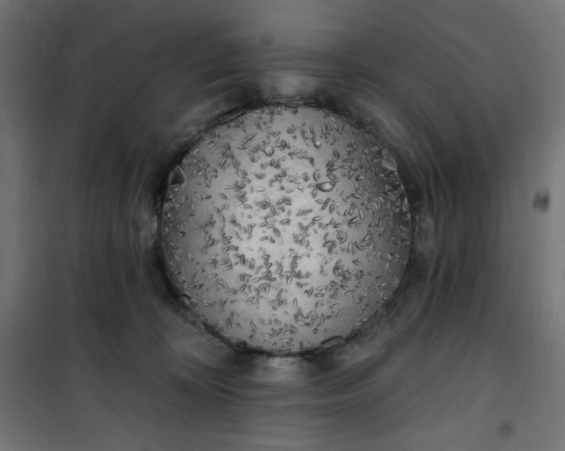 X0000101150324200807071156