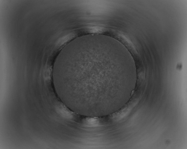 X0000101150325200807071156