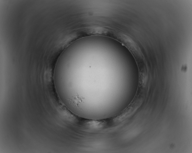 X0000101150326200807071156