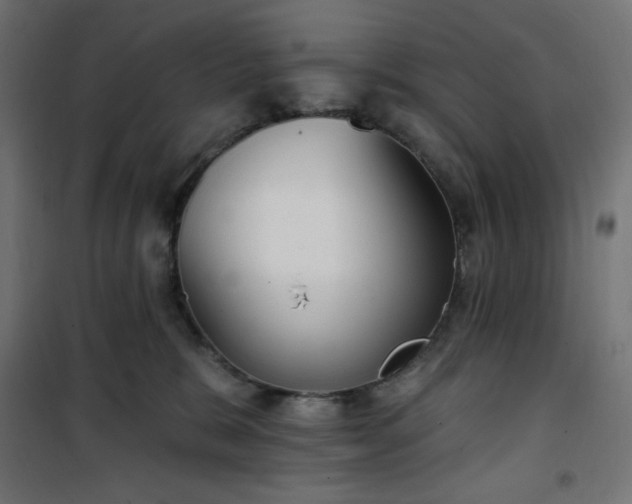 X0000101150327200807071156