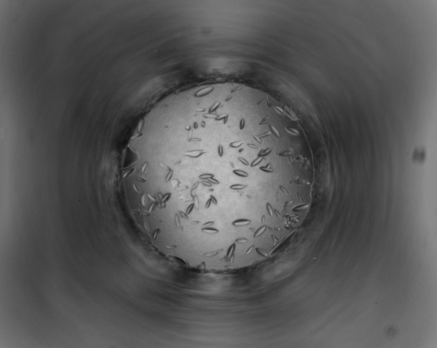 X0000101150328200807071156