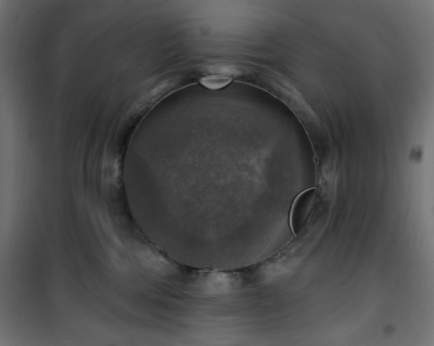 X0000101150330200807071156