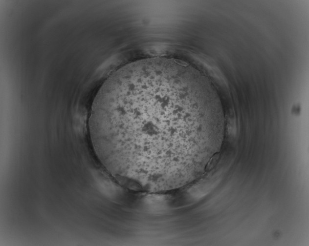 X0000101150332200807071156