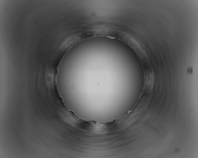 X0000101150333200807071156