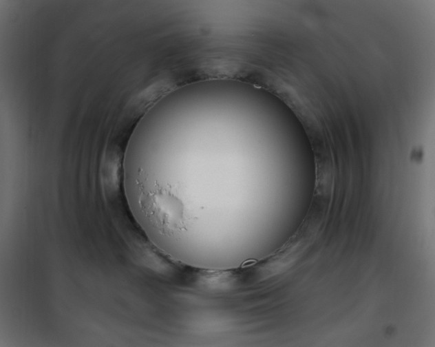 X0000101150334200807071156