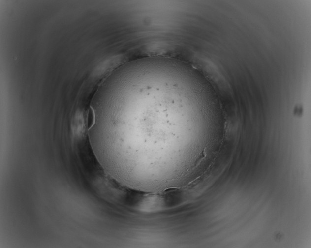 X0000101150335200807071156