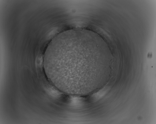 X0000101150336200807071156