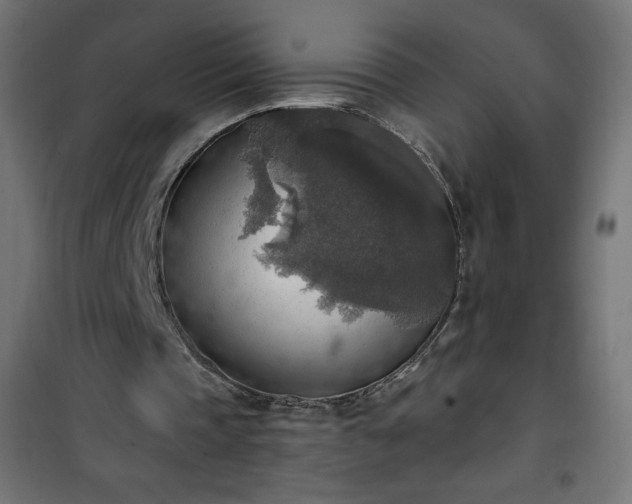 X0000101150337200807071155