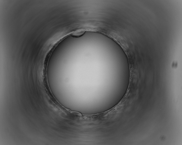 X0000101150338200807071155