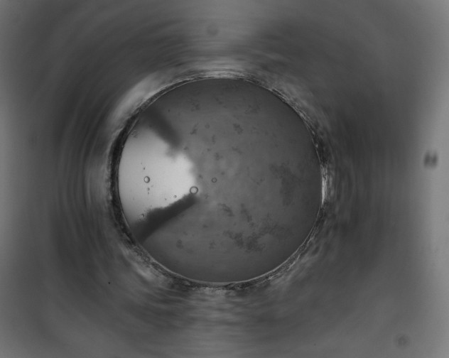 X0000101150339200807071155