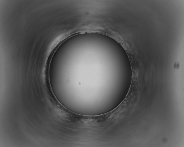 X0000101150340200807071155