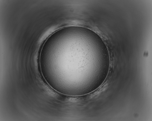 X0000101150341200807071155