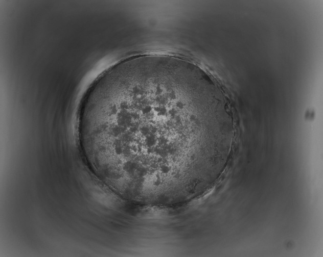 X0000101150343200807071155