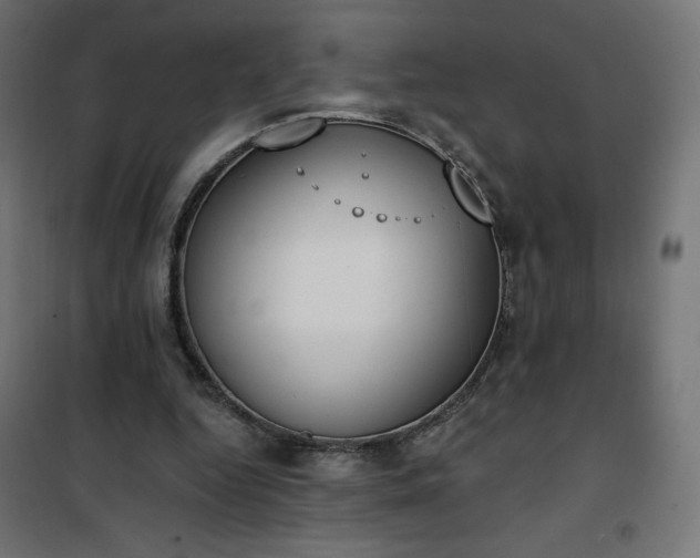 X0000101150344200807071155