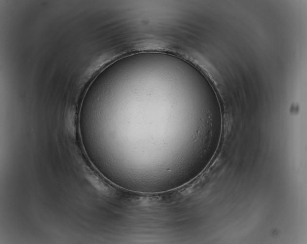 X0000101150345200807071155