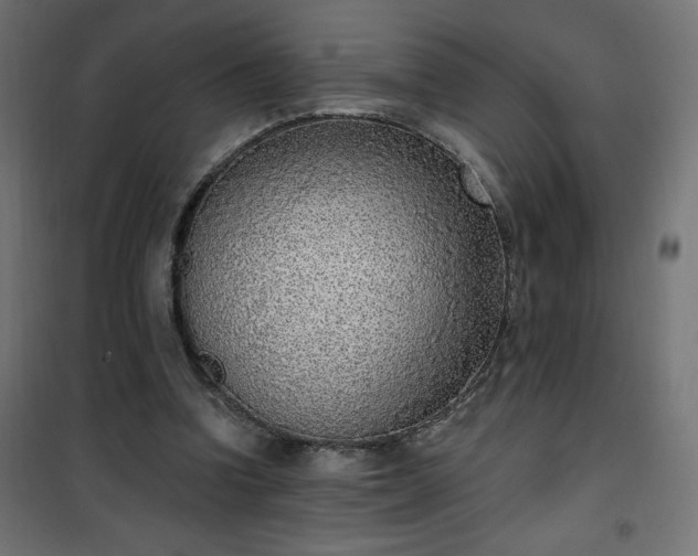 X0000101150346200807071155