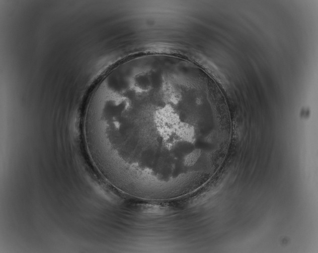 X0000101150347200807071155