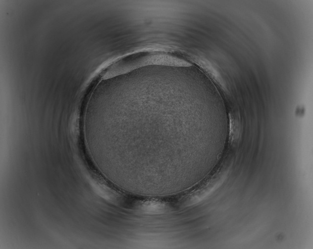 X0000101150348200807071155