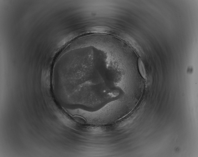 X0000101150349200807071155