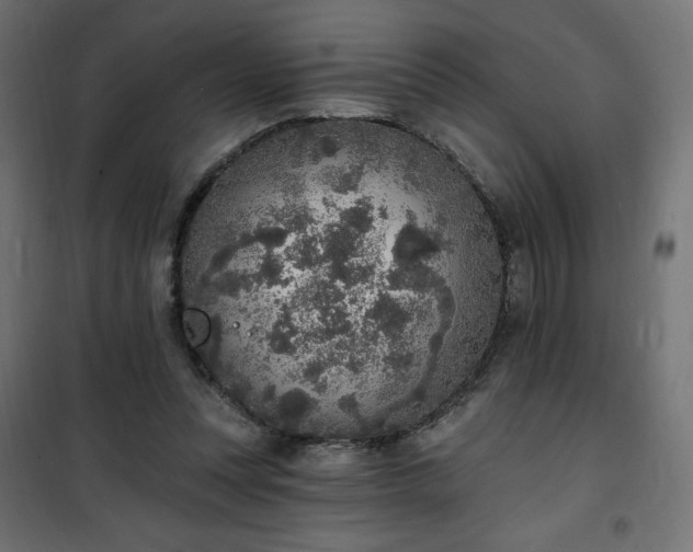 X0000101150351200807071155