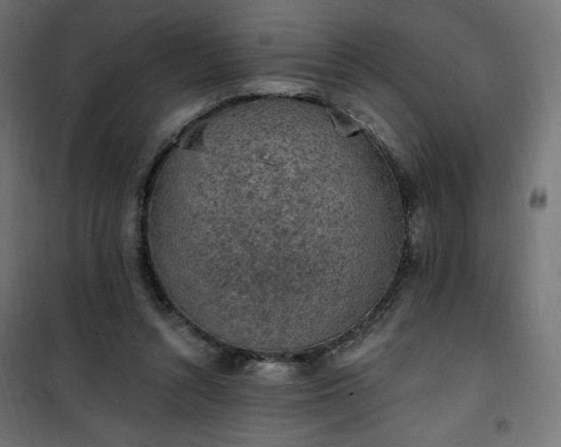 X0000101150352200807071155