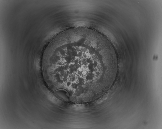 X0000101150353200807071155