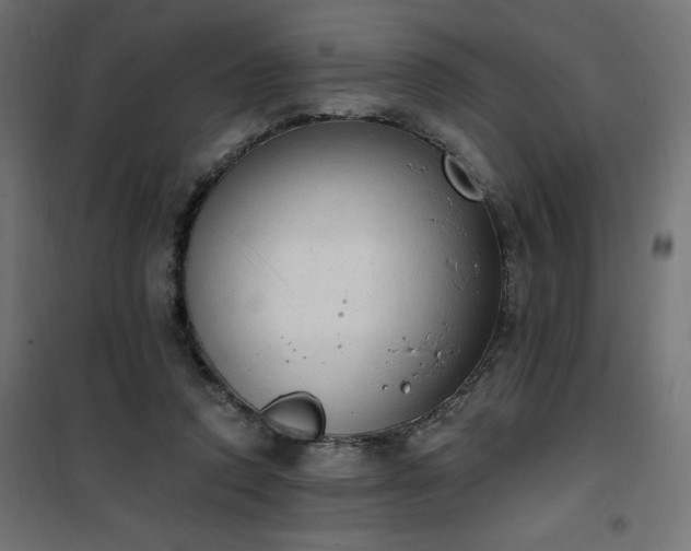 X0000101150354200807071155