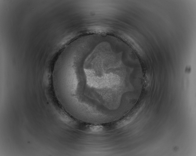 X0000101150355200807071155