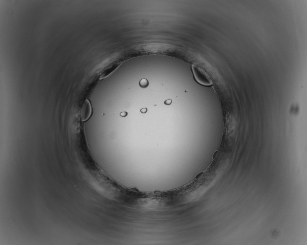 X0000101150356200807071155