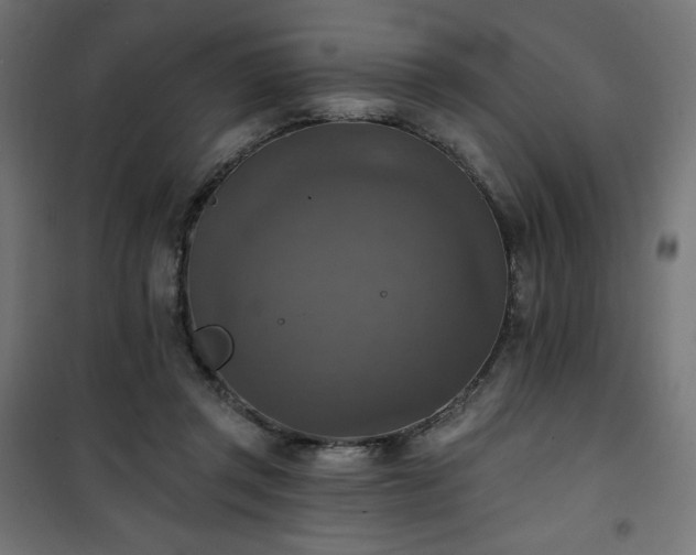 X0000101150357200807071155