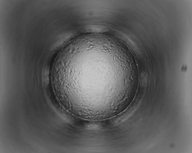 X0000101150358200807071155