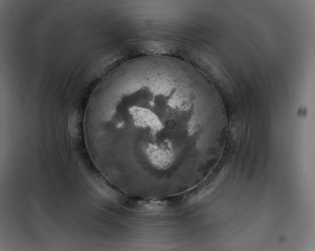 X0000101150359200807071155