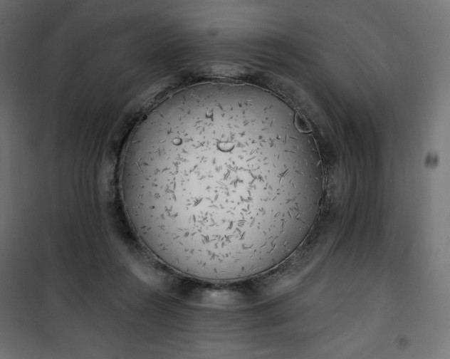 X0000101150360200807071155