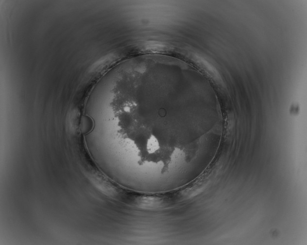 X0000101150361200807071155