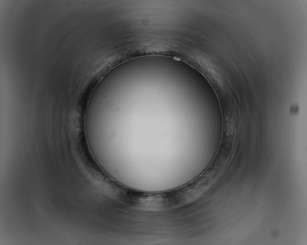 X0000101150362200807071155