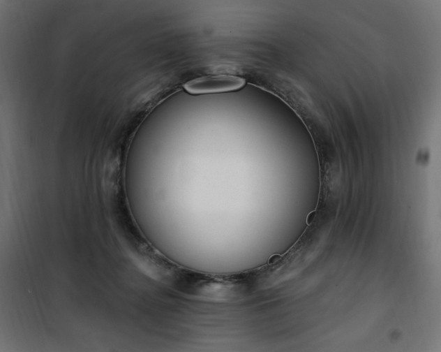 X0000101150364200807071155