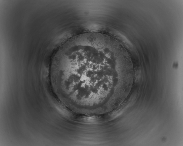 X0000101150365200807071155