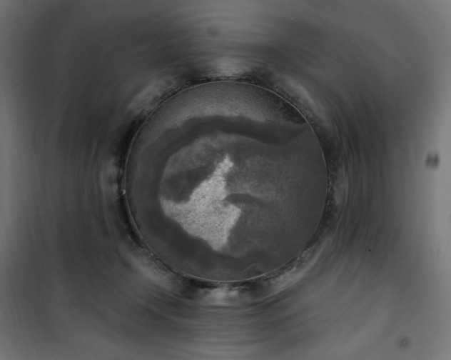 X0000101150366200807071155