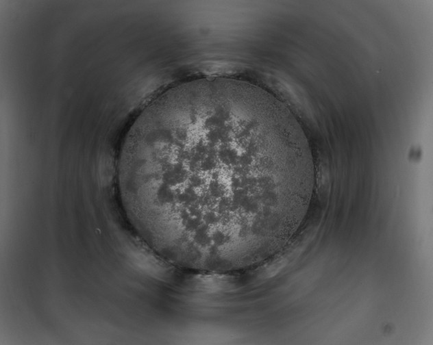 X0000101150367200807071155