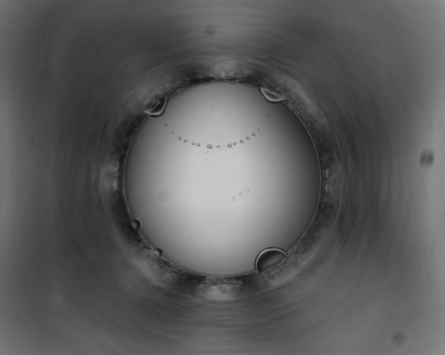 X0000101150368200807071155