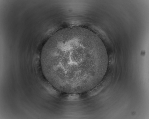 X0000101150369200807071155