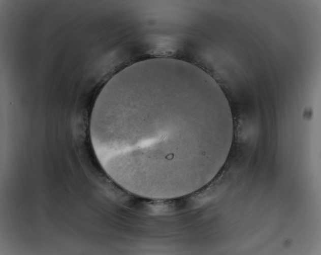 X0000101150370200807071155