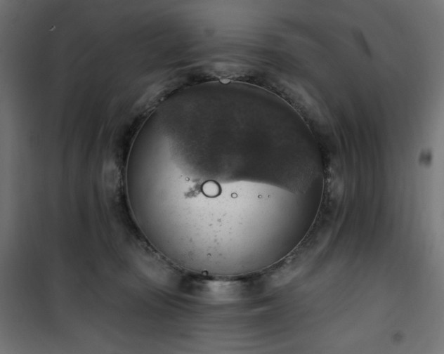 X0000101150371200807071155