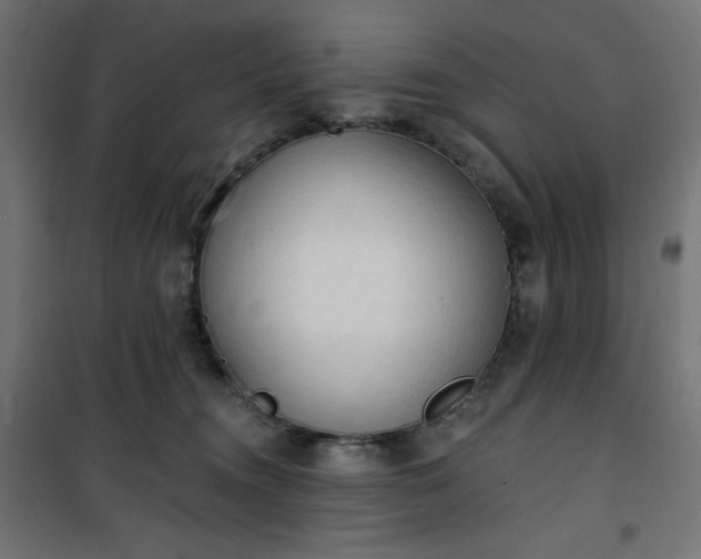 X0000101150372200807071155