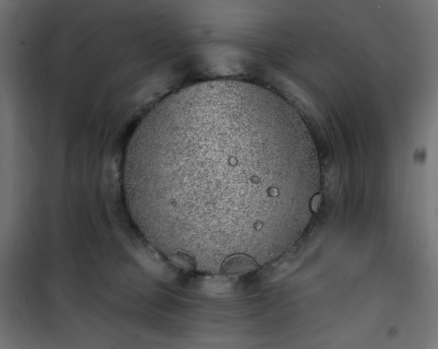 X0000101150373200807071155