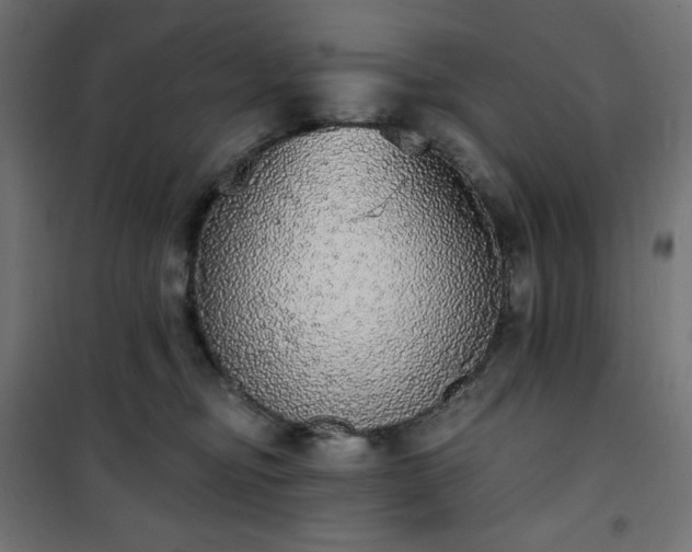 X0000101150374200807071155