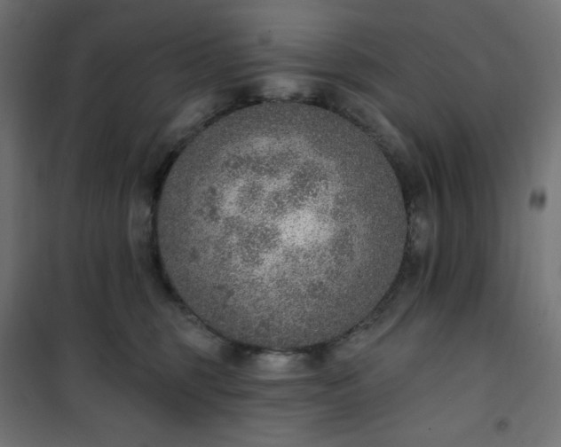 X0000101150375200807071155