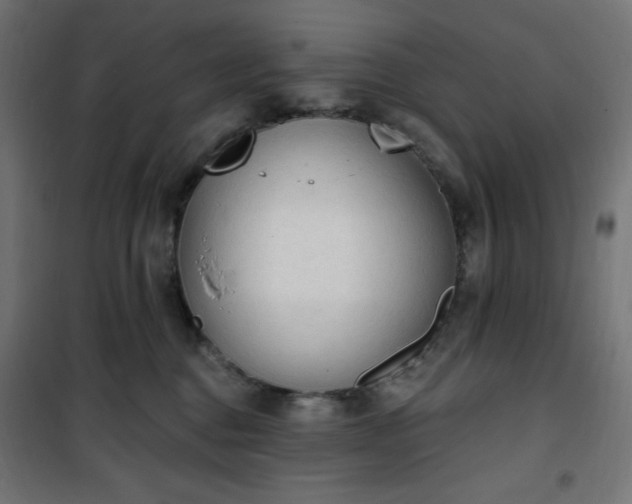 X0000101150376200807071156