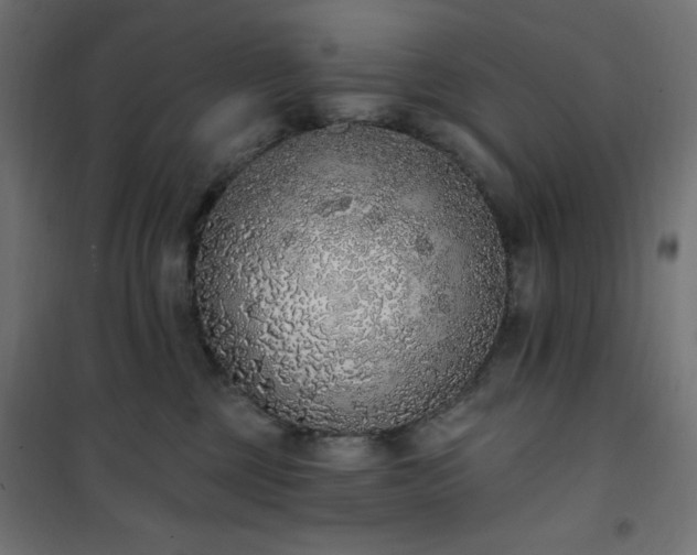 X0000101150377200807071156