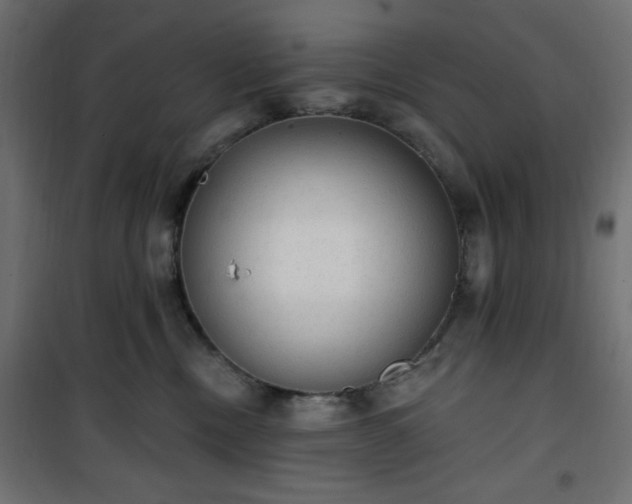 X0000101150378200807071156